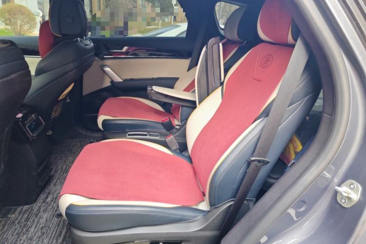 Used BYD Tang New Energy 2022 DM-i 252km Luxury Model Left Rear Seat