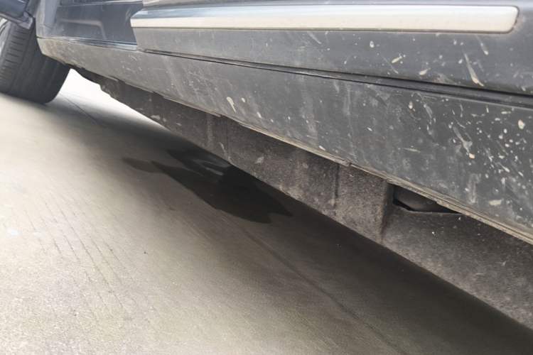 Used BYD Tang New Energy 2022 EV 635 km All-Wheel-Drive Flagship Model Left Side Sill