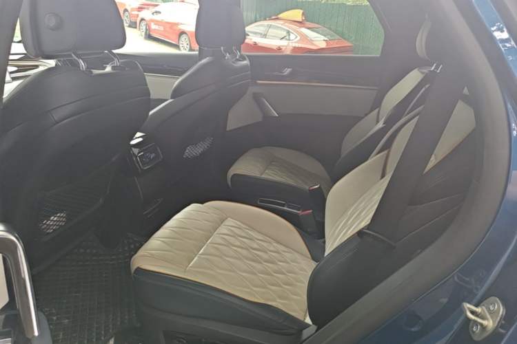 Used BYD Tang New Energy 2022 EV 635 km All-Wheel-Drive Flagship Model Left Rear Seat