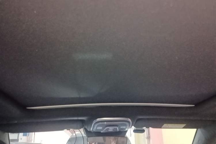 Used BYD Tang New Energy 2022 DM-p 215KM Four-Wheel Drive Flagship Model Headliner