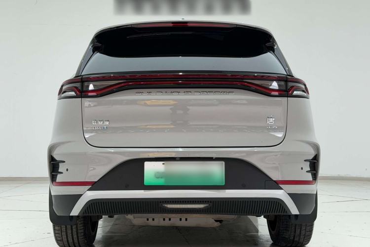 Used BYD Tang New Energy 2022 DM-p 215KM Four-Wheel Drive Flagship Model Exterior 1