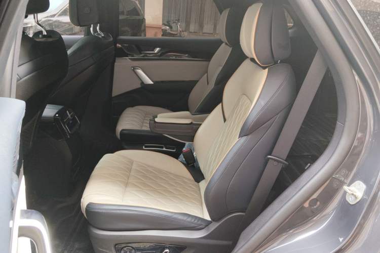 Used BYD Tang New Energy 2022 EV 635 km All-Wheel-Drive Flagship Model Left Rear Seat