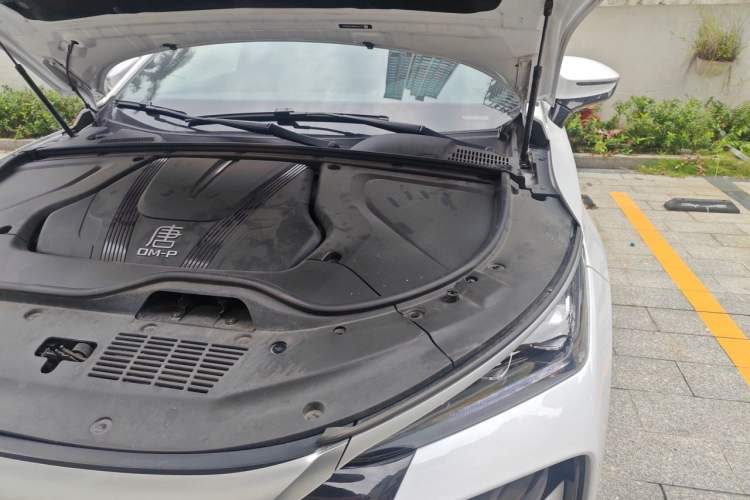 Used BYD Tang New Energy 2022 DM-p 215 km All-Wheel-Drive Deluxe Model Engine Bay Left
