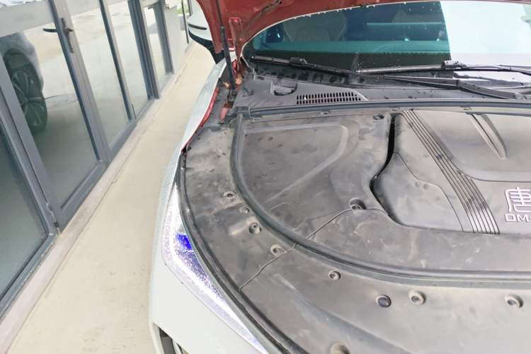 Used BYD Tang New Energy 2022 DM-p 215KM Four-Wheel Drive Flagship Model Engine Bay Right