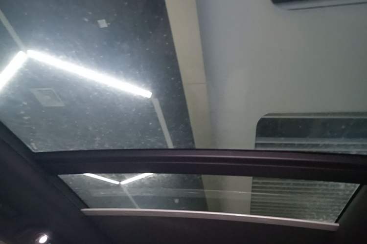 Used BYD Tang New Energy 2022 DM-p 215 km All-Wheel-Drive Deluxe Model Headliner