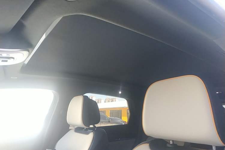 Used BYD Tang New Energy 2022 DM-p 215KM Four-Wheel Drive Flagship Model Headliner