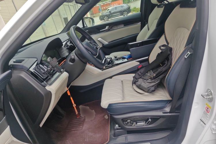 Used BYD Tang New Energy 2022 DM-p 215 km All-Wheel-Drive Deluxe Model Left Front Seat