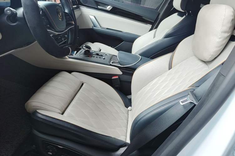 Used BYD Tang New Energy 2022 DM-i 252km Luxury Model Left Front Seat