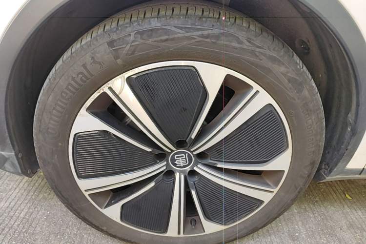 Used BYD Tang New Energy 2022 DM-p 215KM Four-Wheel Drive Flagship Model Left Front Wheel Hub