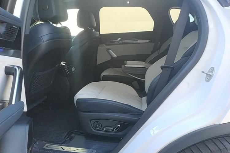 Used BYD Tang New Energy 2022 DM-p 215KM Four-Wheel Drive Flagship Model Left Rear Seat