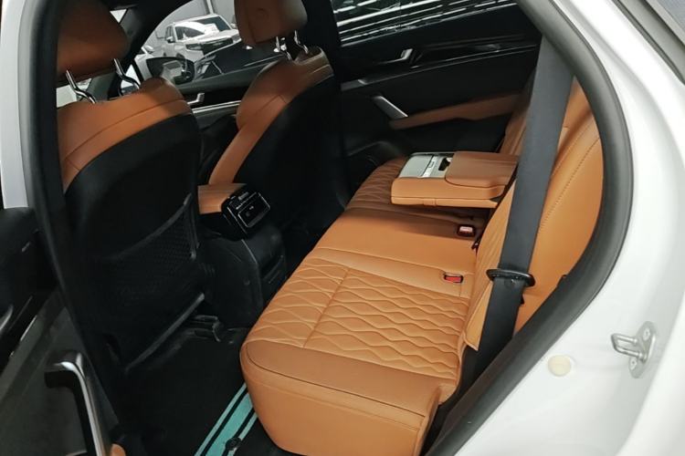 Used BYD Tang New Energy 2022 DM-i 252km Luxury Model Left Rear Seat