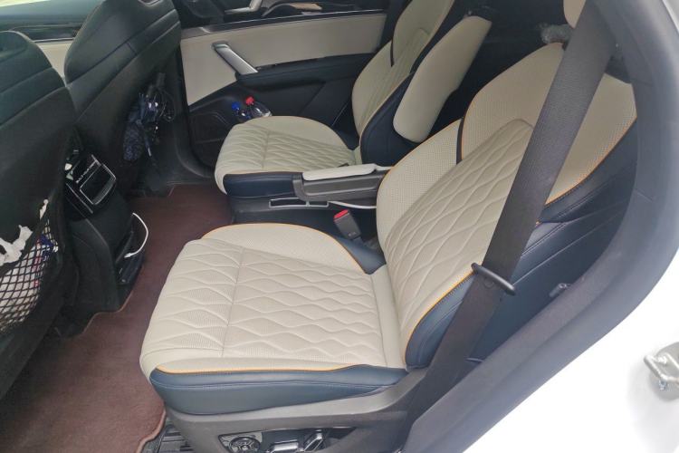 Used BYD Tang New Energy 2022 DM-p 215 km All-Wheel-Drive Deluxe Model Left Rear Seat