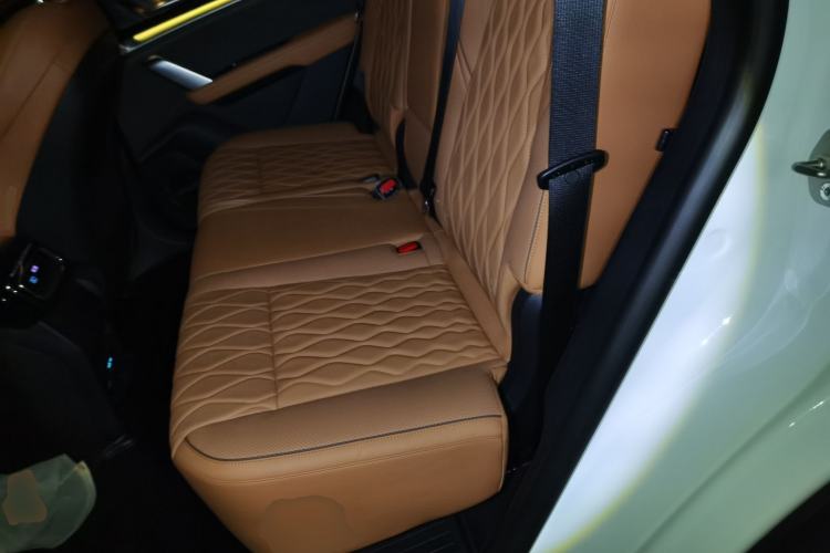 Used BYD Tang New Energy 2022 DM-p 215KM Four-Wheel Drive Flagship Model Left Rear Seat