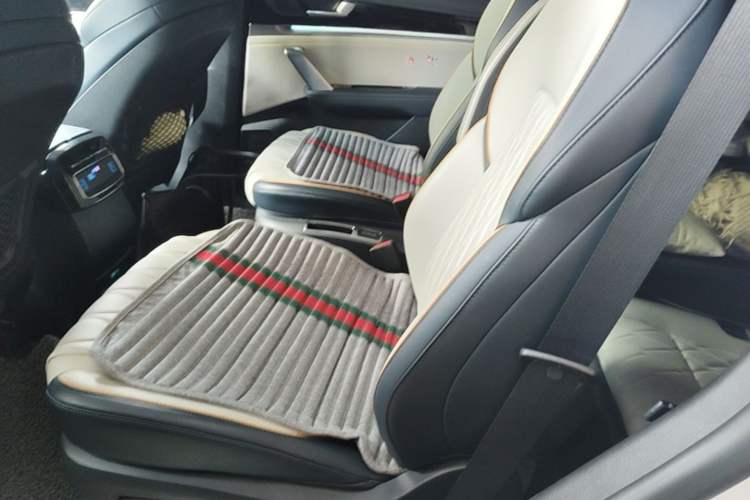 Used BYD Tang New Energy 2022 DM-i 252km Luxury Model Left Rear Seat