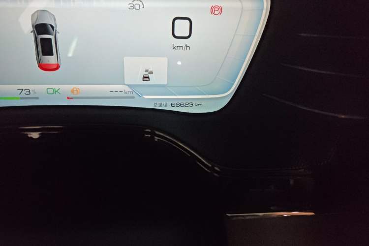 Used BYD Tang New Energy 2022 DM-p 215KM Four-Wheel Drive Flagship Model Odometer Close Up
