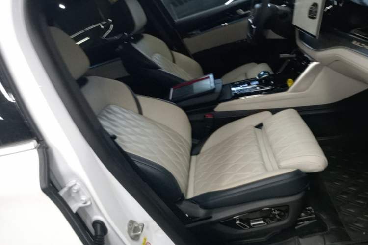 Used BYD Tang New Energy 2022 DM-p 215 km All-Wheel-Drive Deluxe Model Right Front Seat