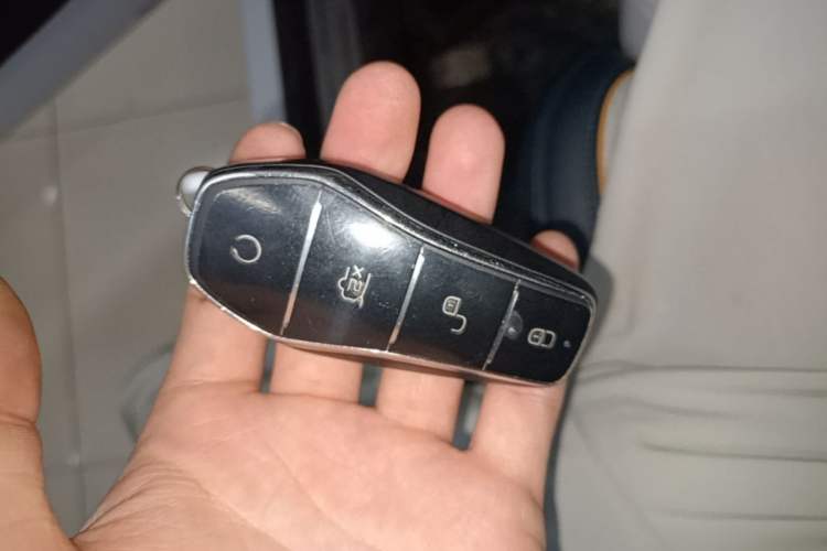 Used BYD Tang New Energy 2022 DM-p 215 km All-Wheel-Drive Deluxe Model Vehicle Key