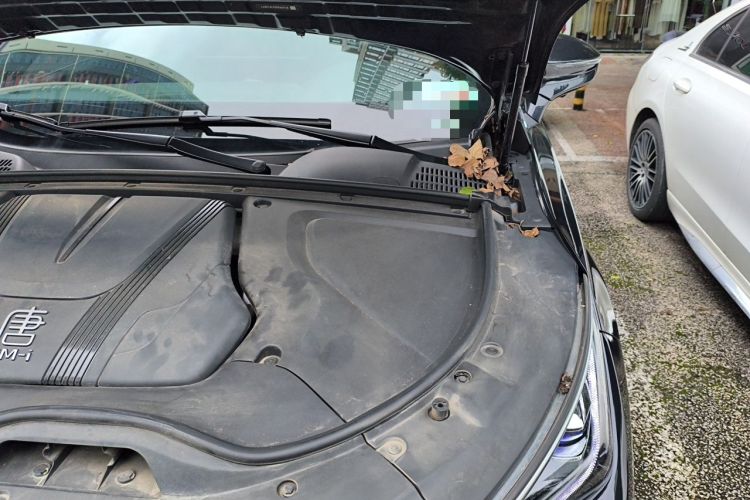 Used BYD Tang New Energy 2023 DM-i Champion Edition 112KM Prestige Model Engine Bay Left