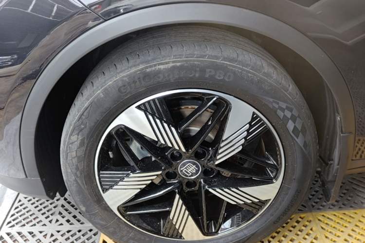 Used BYD Tang New Energy 2023 DM-i Champion Edition 112KM Prestige Model Exterior 4