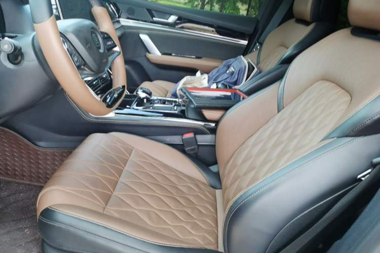 Used BYD Tang New Energy 2023 DM-i Champion Edition 112KM Prestige Model Left Front Seat