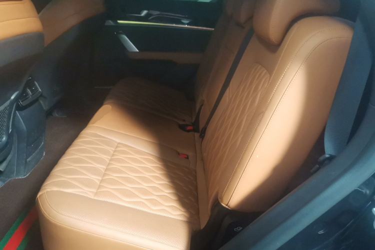 Used BYD Tang New Energy 2023 DM-i Champion Edition 112KM Prestige Model Left Rear Seat