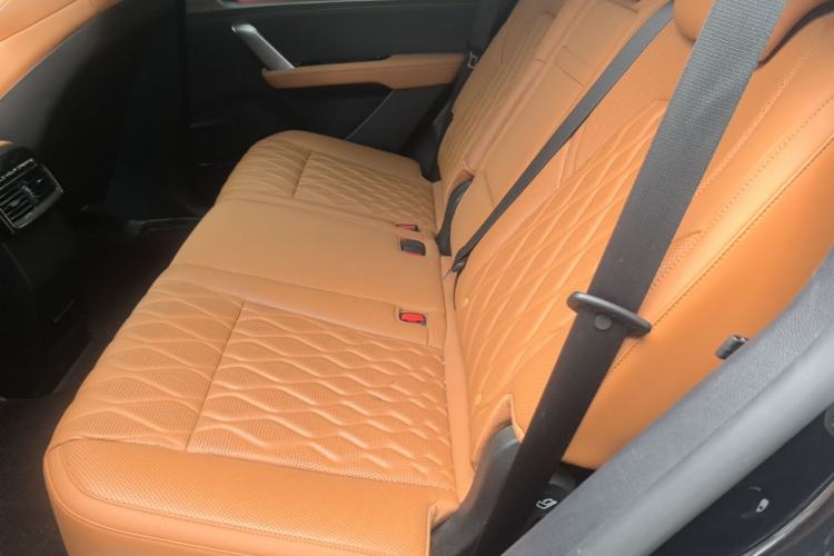 Used BYD Tang New Energy 2023 DM-i Champion Edition 112KM Prestige Model Left Rear Seat