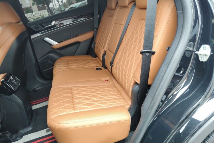 Used BYD Tang New Energy 2023 DM-i Champion Edition 112KM Prestige Model Left Rear Seat
