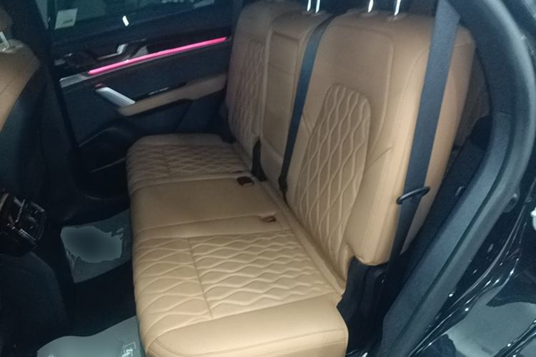 Used BYD Tang New Energy 2023 DM-i Champion Edition 112KM Prestige Model Left Rear Seat