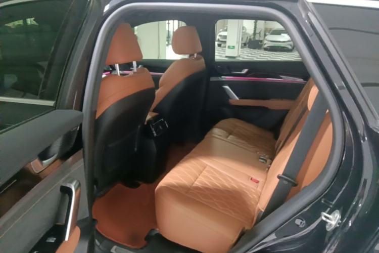 Used BYD Tang New Energy 2023 DM-i Champion Edition 112KM Prestige Model Left Rear Seat