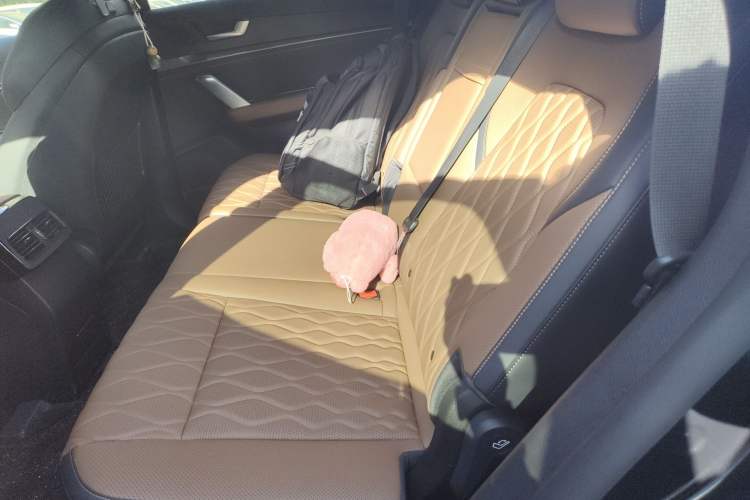 Used BYD Tang New Energy 2023 DM-i Champion Edition 112KM Prestige Model Left Rear Seat