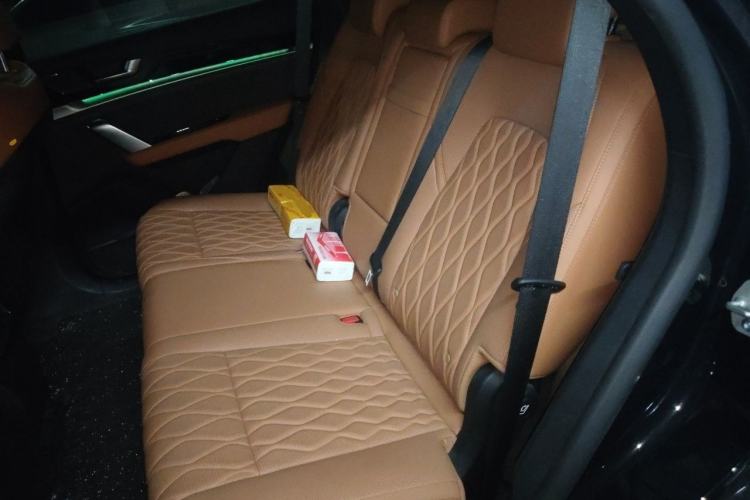 Used BYD Tang New Energy 2023 DM-i Champion Edition 112KM Prestige Model Left Rear Seat