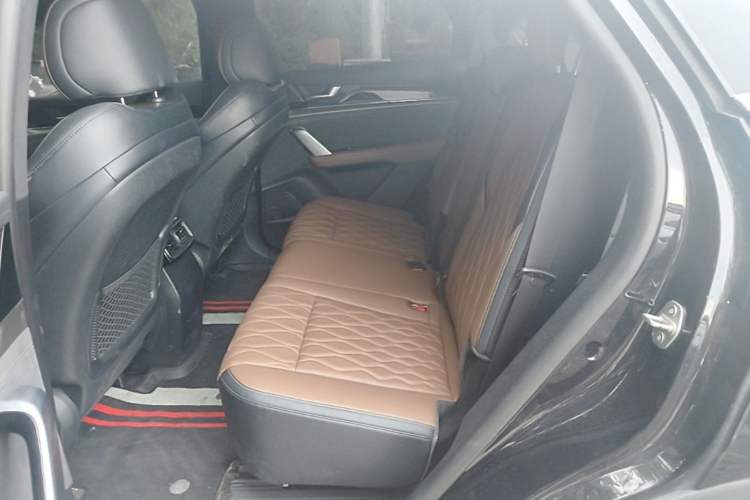 Used BYD Tang New Energy 2023 DM-i Champion Edition 112KM Prestige Model Left Rear Seat