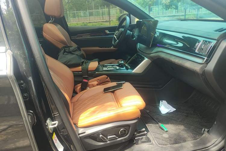 Used BYD Tang New Energy 2023 DM-i Champion Edition 112KM Prestige Model Right Front Seat