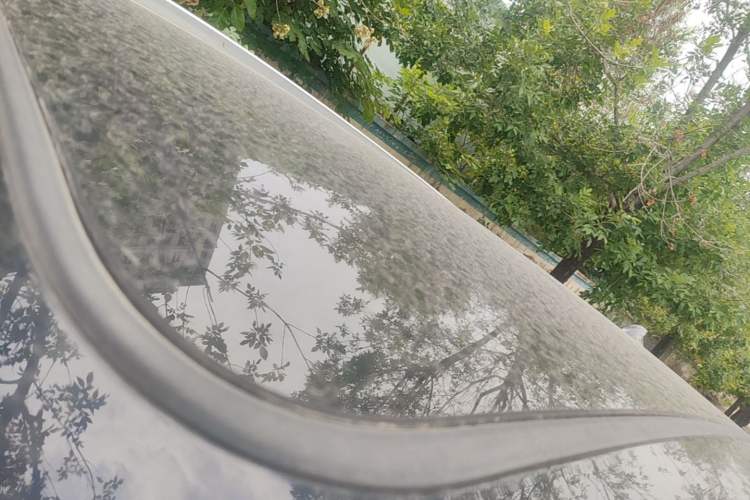 Used BYD Tang New Energy 2023 DM-i Champion Edition 112KM Prestige Model Roof