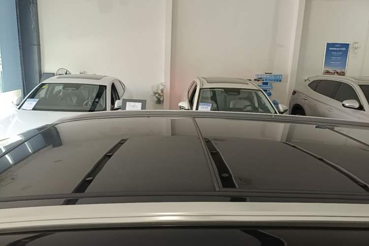 Used BYD Tang New Energy 2023 DM-i Champion Edition 112KM Prestige Model Roof