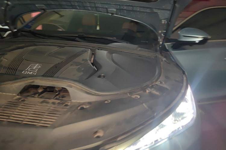 Used BYD Tang New Energy 2023 DM-i Champion Edition 112KM Prestige Model Engine Bay Left