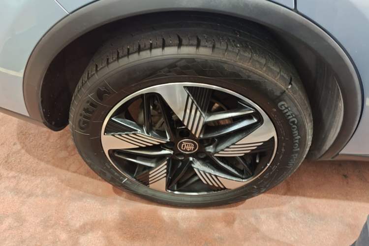 Used BYD Tang New Energy 2023 DM-i Champion Edition 112KM Prestige Model Exterior 5