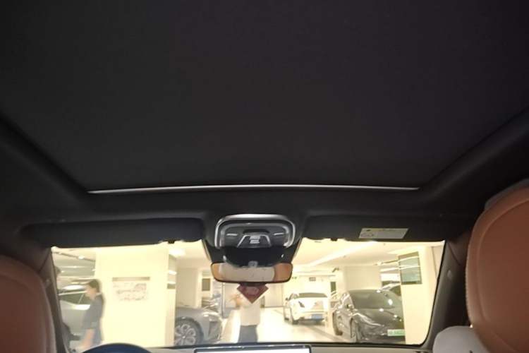 Used BYD Tang New Energy 2023 DM-i Champion Edition 112KM Prestige Model Headliner