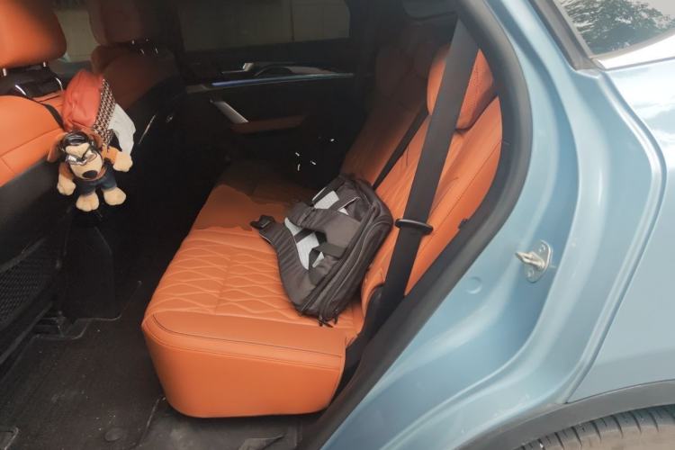Used BYD Tang New Energy 2023 DM-i Champion Edition 112KM Prestige Model Left Rear Seat