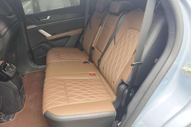 Used BYD Tang New Energy 2023 DM-i Champion Edition 112KM Prestige Model Left Rear Seat