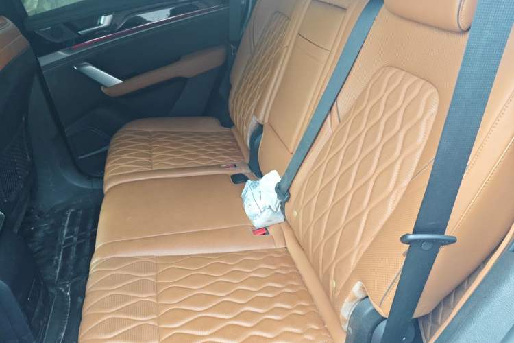Used BYD Tang New Energy 2023 DM-i Champion Edition 112KM Prestige Model Left Rear Seat