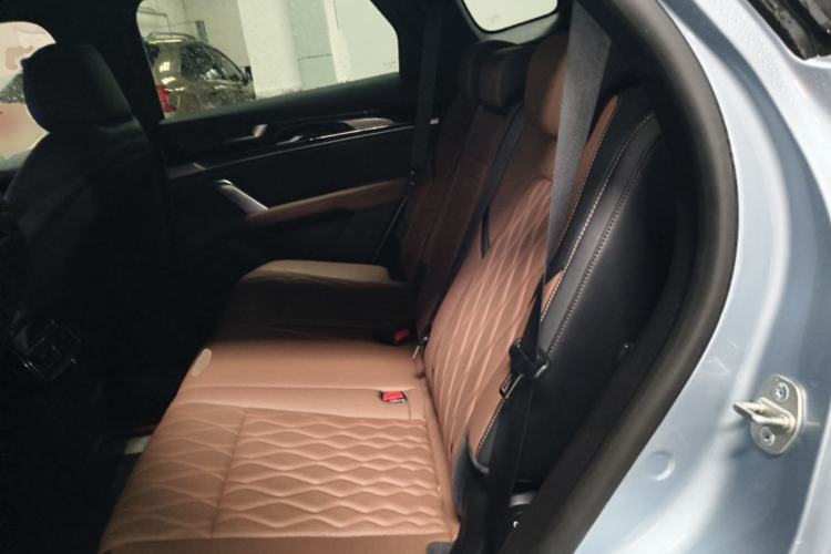 Used BYD Tang New Energy 2023 DM-i Champion Edition 112KM Prestige Model Left Rear Seat