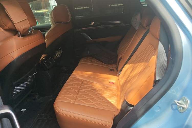 Used BYD Tang New Energy 2023 DM-i Champion Edition 112KM Prestige Model Left Rear Seat