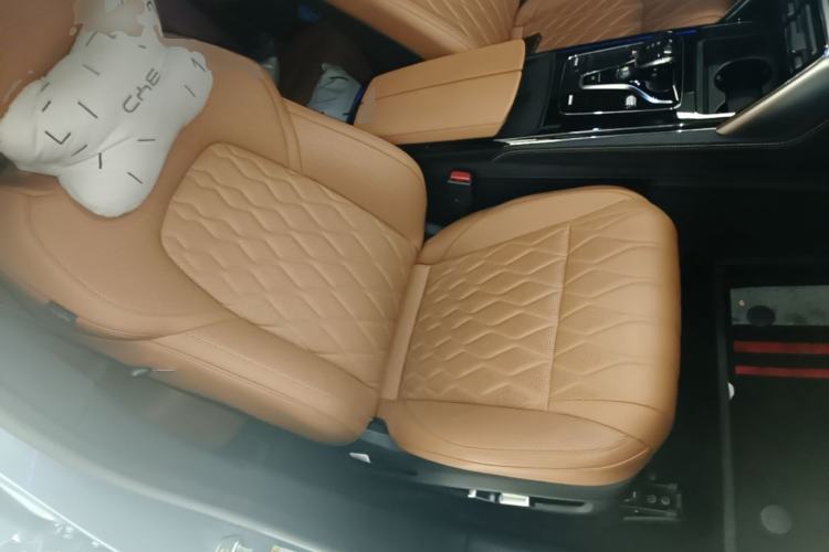 Used BYD Tang New Energy 2023 DM-i Champion Edition 112KM Prestige Model Right Front Seat