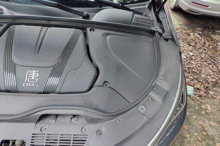 Used BYD Tang New Energy 2023 DM-i Champion Edition 112KM Prestige Model Engine Bay Left