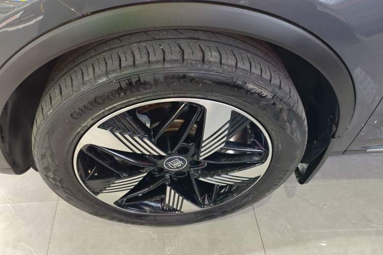 Used BYD Tang New Energy 2023 DM-i Champion Edition 112KM Prestige Model Exterior 3