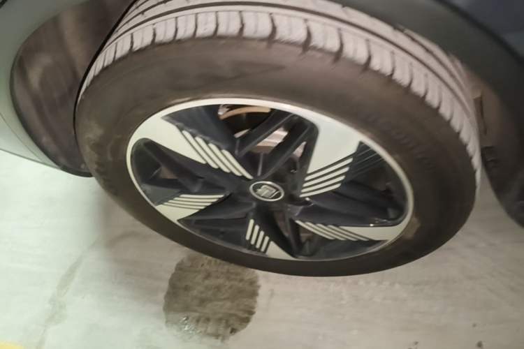 Used BYD Tang New Energy 2023 DM-i Champion Edition 112KM Prestige Model Exterior 3