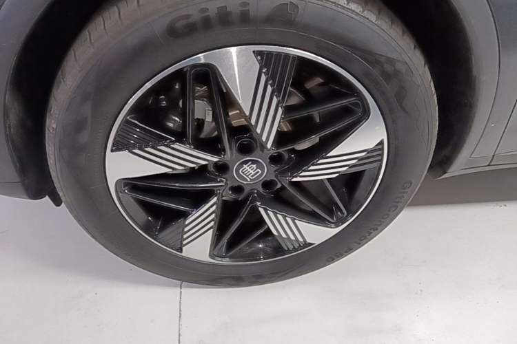 Used BYD Tang New Energy 2023 DM-i Champion Edition 112KM Prestige Model Exterior 4