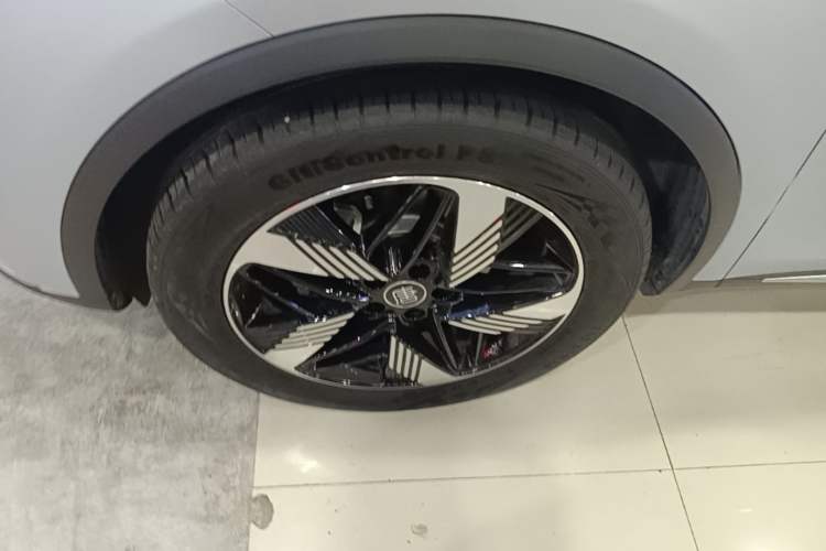 Used BYD Tang New Energy 2023 DM-i Champion Edition 112KM Prestige Model Exterior 4