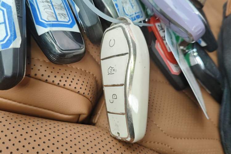 Used BYD Tang New Energy 2023 DM-i Champion Edition 112KM Prestige Model Interior 1
